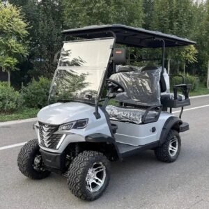 2024 electric golf cart with lithium battery valor 4seats 291.jpg