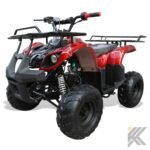 coolster 125cc r1 kids atv 791.jpg
