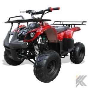 coolster 125cc r1 kids atv 791.jpg