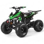 coolster 125cc sport c kids atv green adult 896.jpg