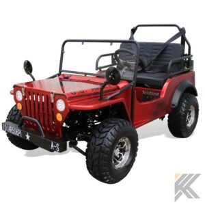 coolster challenger 125 go kart karts dune buggies 701.jpg