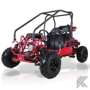 taomotor 107cc kids go kart tao 452.jpg