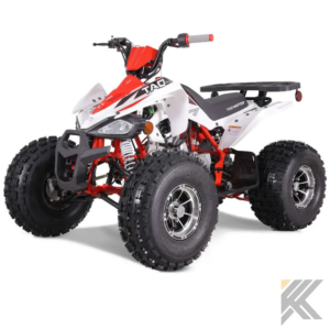 taomotor 125cc cheetah dlx kids atv tao 873.png