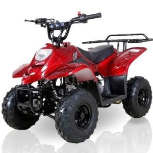 taomotor boulder 110cc kids atv burgundy tao 866.jpg