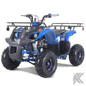 taomotor d125 kids atv atvs utvs 968.jpg