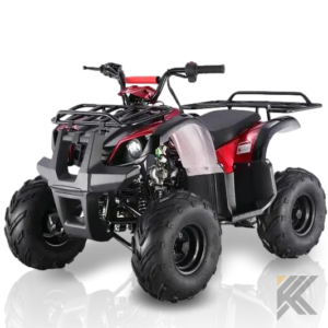 taomotor spiker 110cc kids atv with reverse tao 425.png