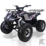 taomotor tforce 125cc kids atv tao 922.jpg