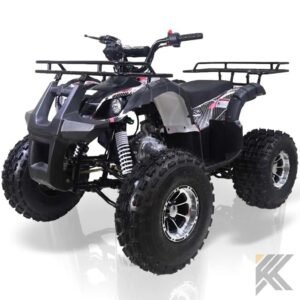 taomotor tforce 125cc kids atv tao 922.jpg