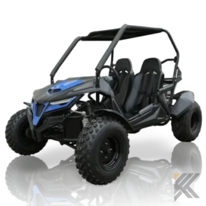 trailmaster cheetah 200e go kart 363.png